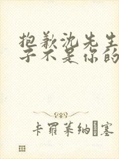 抱歉沈先生,孩子不是你的短剧