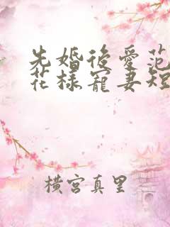 先婚后爱范总的花样宠妻短剧