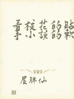 看校花的贴身高手小说的软件