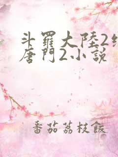 斗罗大陆2绝世唐门2小说