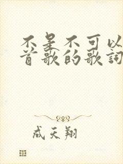 不是不可以是哪首歌的歌词