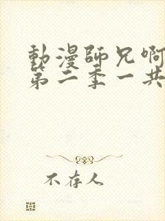 动漫师兄啊师兄第二季一共多少集