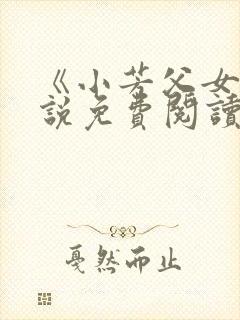 《小芳父女》小说免费阅读物