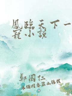 凤临天下一后千宠小说