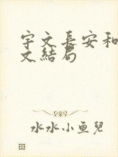 宇文长安和阮惜文结局