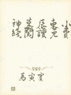 神墓辰东小说在线阅读免费