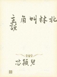 主角叫林北的小说