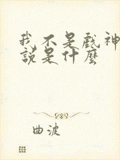 我不是戏神的小说是什么