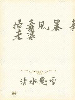 扫毒风暴 秦昊老婆