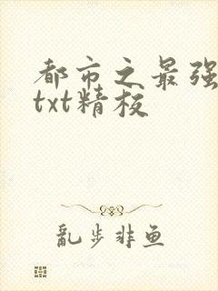 都市之最强狂兵txt精校