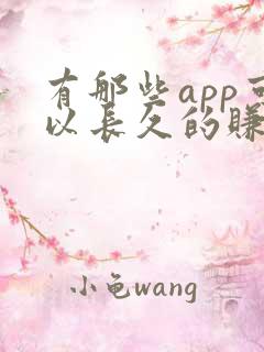 有那些app可以长久的赚零花钱