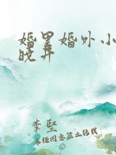 婚里婚外小说叶晓井