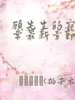 顾先生的宠妻日常最新章节免费阅读