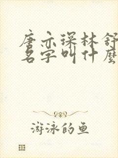 唐亦琛林舒小说名字叫什么