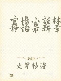 官场小说林皓李静怡最新章节