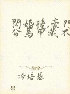 闪婚后,豪门老公马甲藏不住3