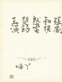 王楚然和张晚意演的电视剧