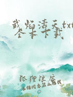 武焰涛天txt 全本下载