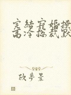 完结宠婚撩人:高冷总裁默默爱 小说