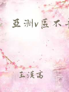 亚洲v区不卡