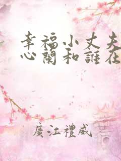 幸福小丈夫结局心兰和谁在一起了