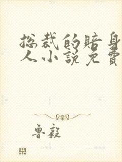 总裁的赔身小情人小说免费阅读全文