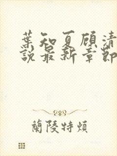 叶知夏顾清淮小说最新章节免费阅读