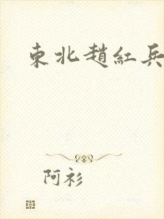 东北赵红兵结局