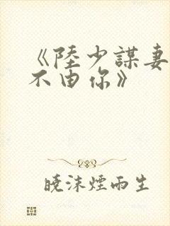 《陆少谋妻:婚不由你》