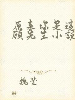 原来你是这样的顾先生小说