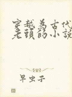 穿越为古代农家老头的小说