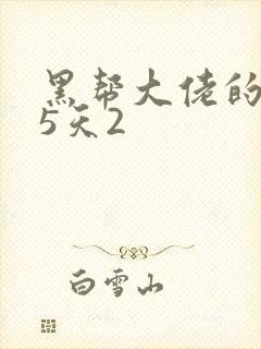 黑帮大佬的365天2