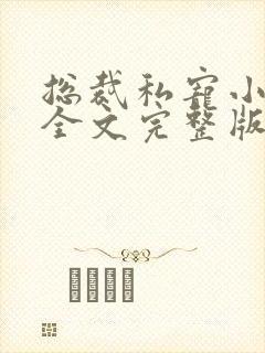 总裁私宠小娇妻全文完整版