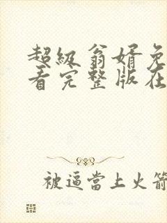 超级翁婿免费观看完整版在线全集