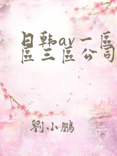 日韩av一区二区三区公司
