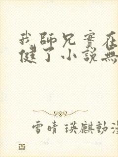 我师兄实在太稳健了小说无删减正版在线阅读