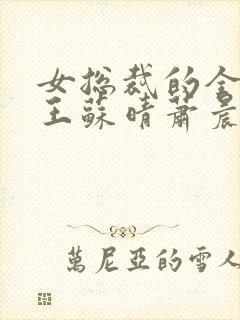 女总裁的全能兵王苏晴萧晨