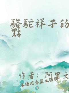 骆驼祥子的必考点