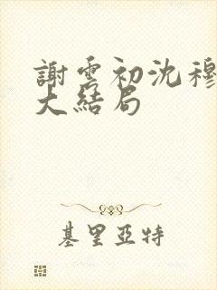 谢云初沈穆小说大结局