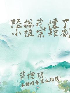 陆总我怀了你的小祖宗短剧免费全集