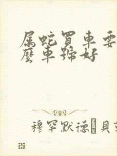 属蛇买车要个什么车号好