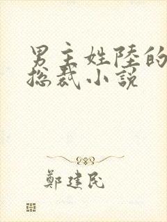 男主姓陆的豪门总裁小说