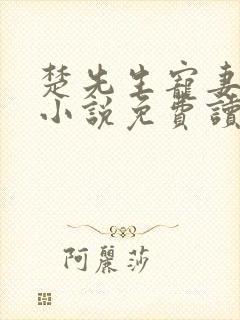 楚先生宠妻日常小说免费读