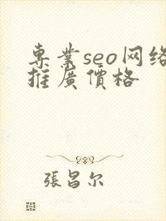 专业seo网络推广价格