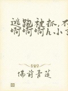 逃跑被抓,不要啊啊啊h小说