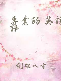 专业的 英语翻译