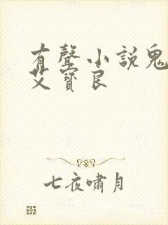 有声小说鬼吹灯艾宝良