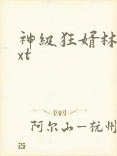 神级狂婿林凡txt