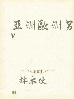 亚洲欧洲另类av