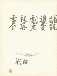 电视剧追捕二王全集免费观看